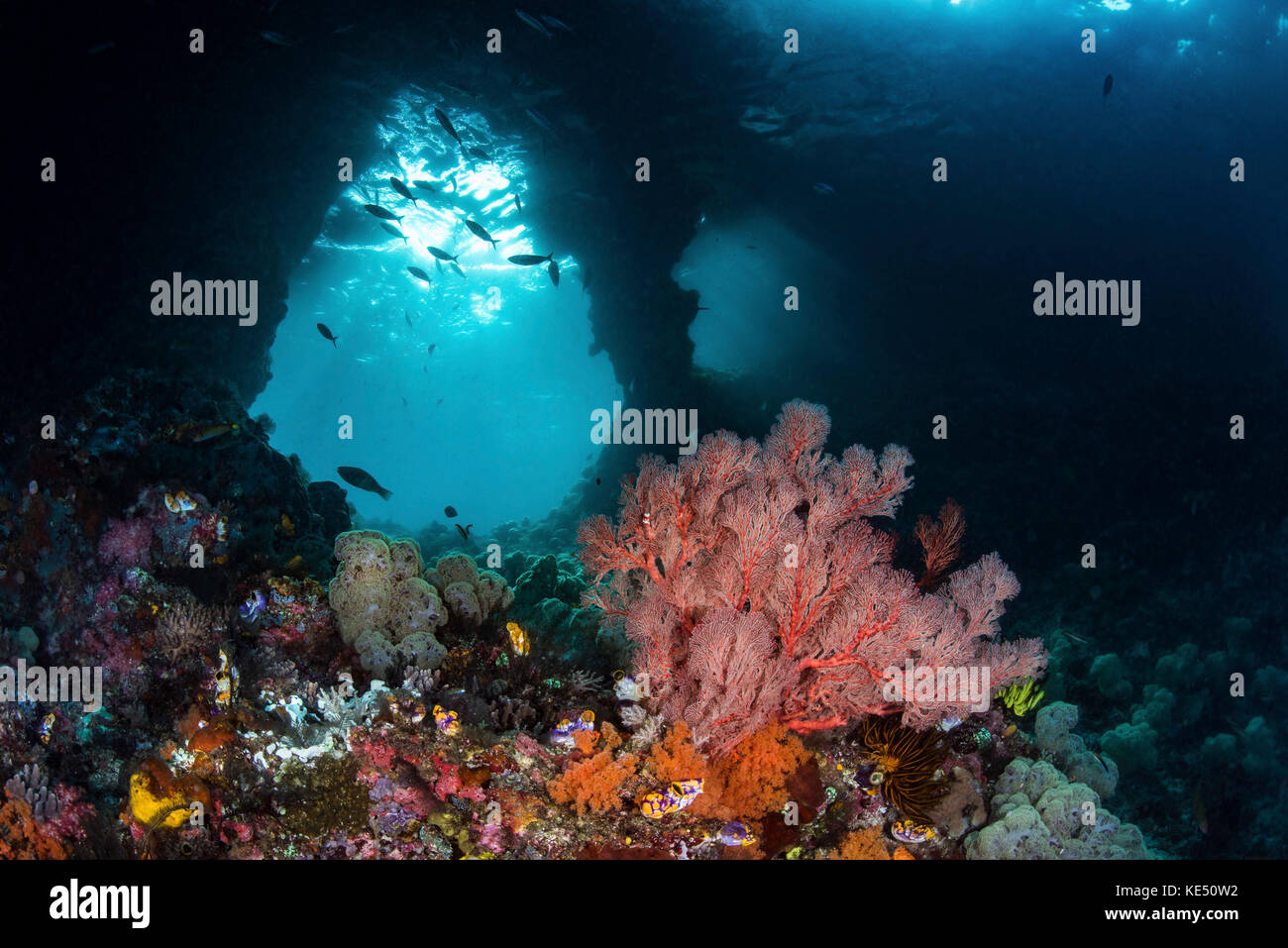 The window of indonesia hi-res stock photography and images - Alamy
