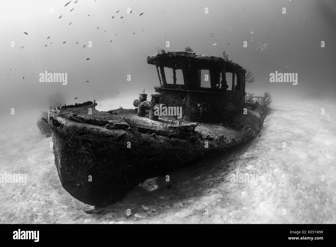 A tugboat wreck in the Bahamas. Stock Photo