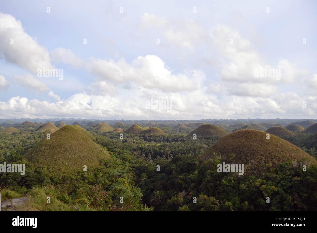 Chocolate Hills. Located in Cebu, the Philippines. What a geological