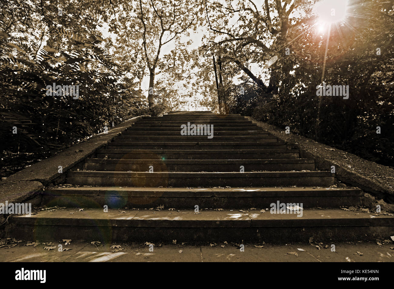 Stairway to heaven hi-res stock photography and images - Alamy