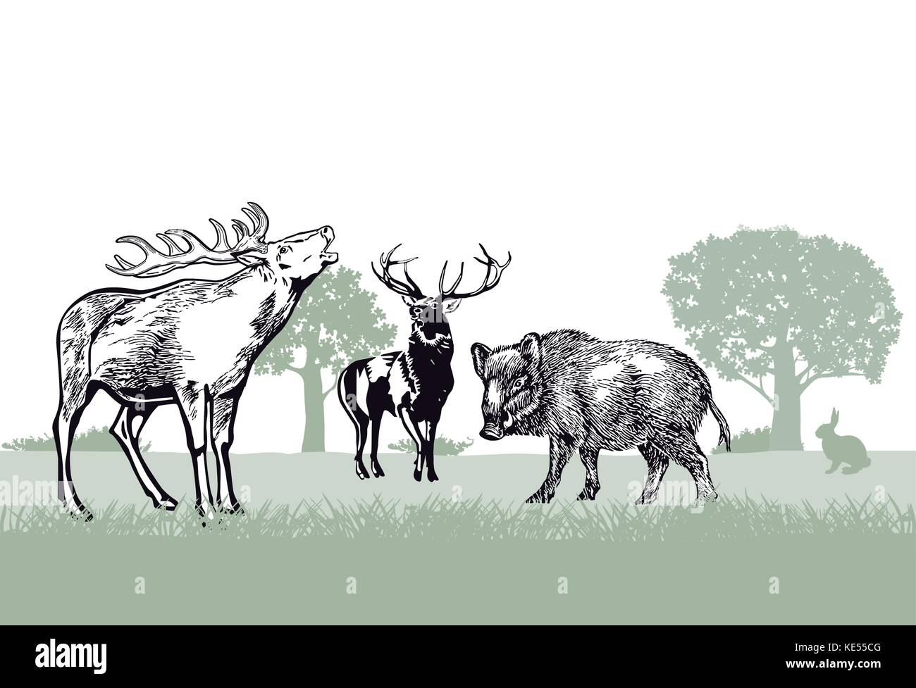 Deer and wild boar in the forest Stock Vector