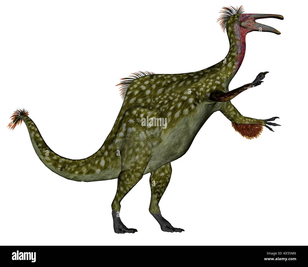 Paleoexhibit: Deinocheirus the magnificent