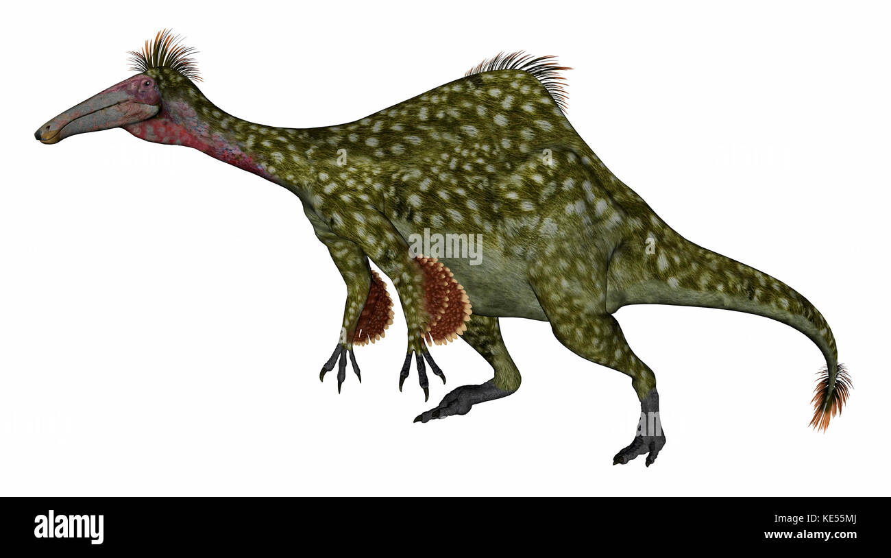 Paleoexhibit: Deinocheirus the magnificent