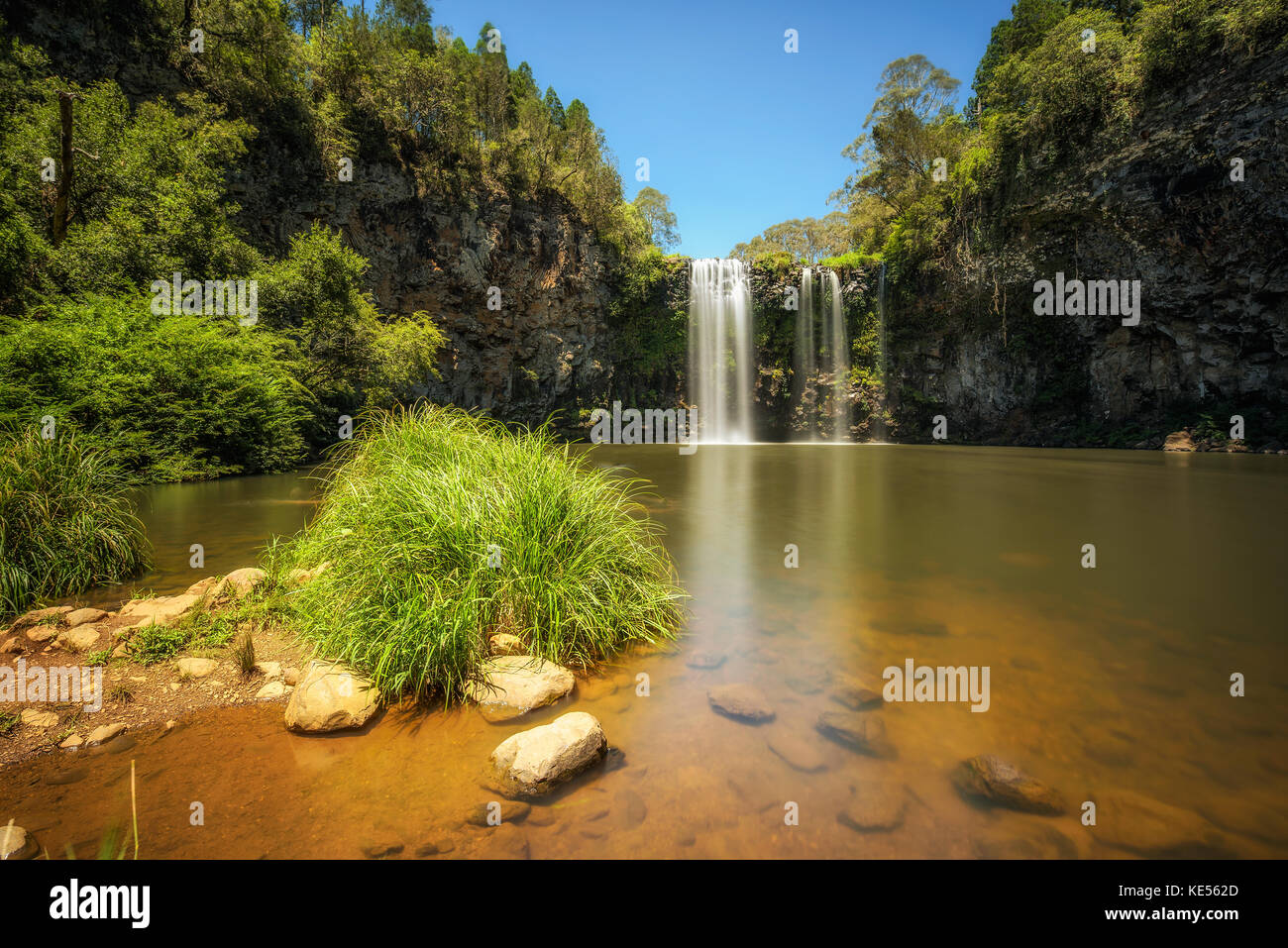 Dangar Falls in the Rainforest of Dorrigo National Park, Australia Stock Photo