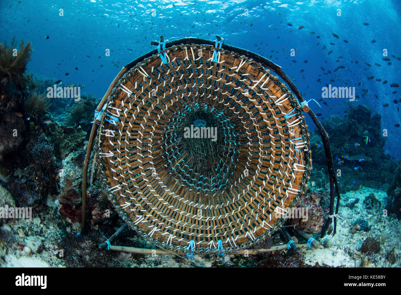 Traditional fish trap hi-res stock photography and images - Alamy