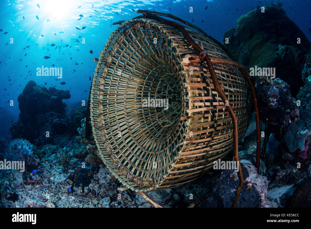 Traditional fish trap hi-res stock photography and images - Alamy