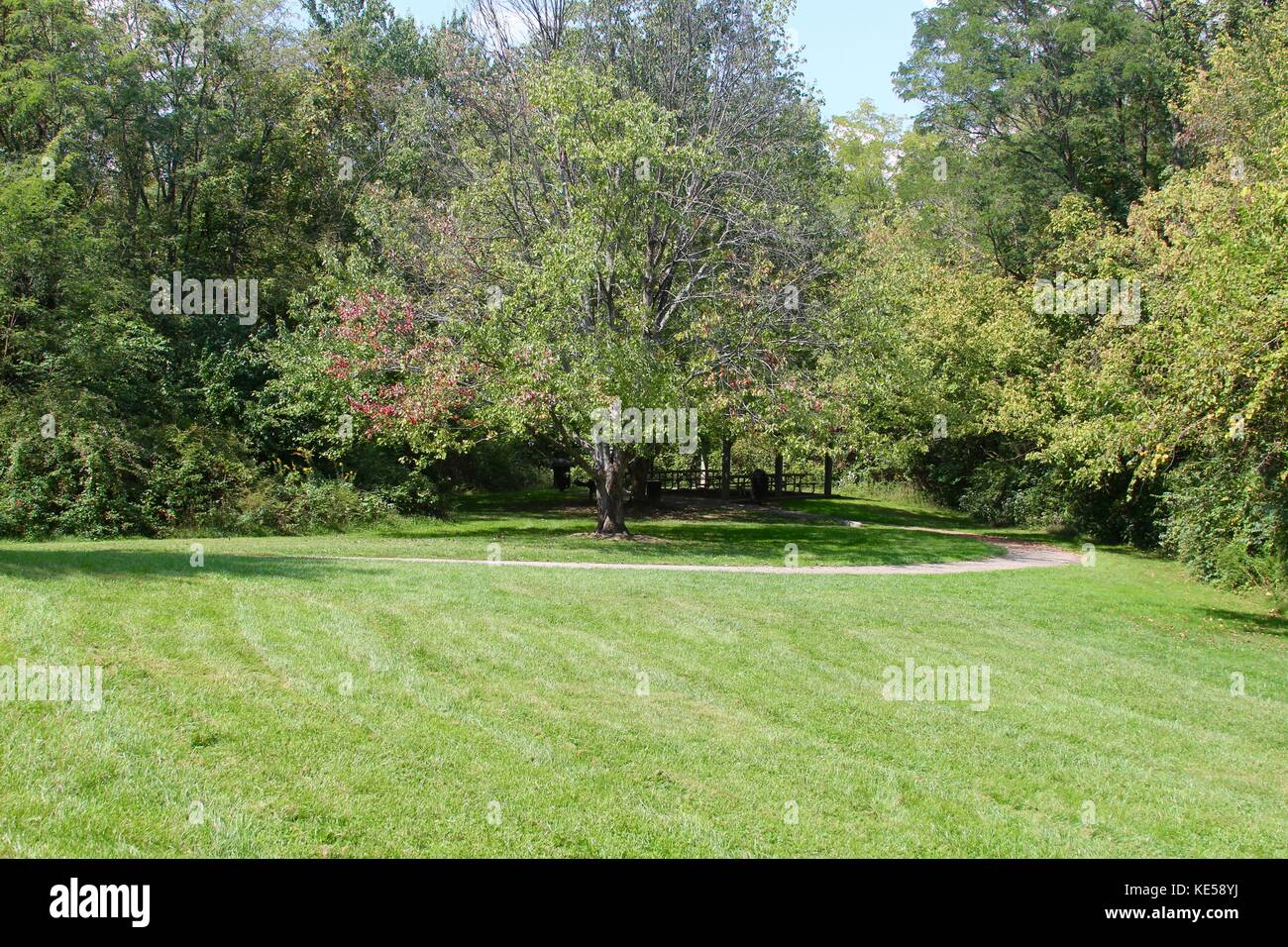 Being outdoors and in the beauty in the nature Stock Photo - Alamy