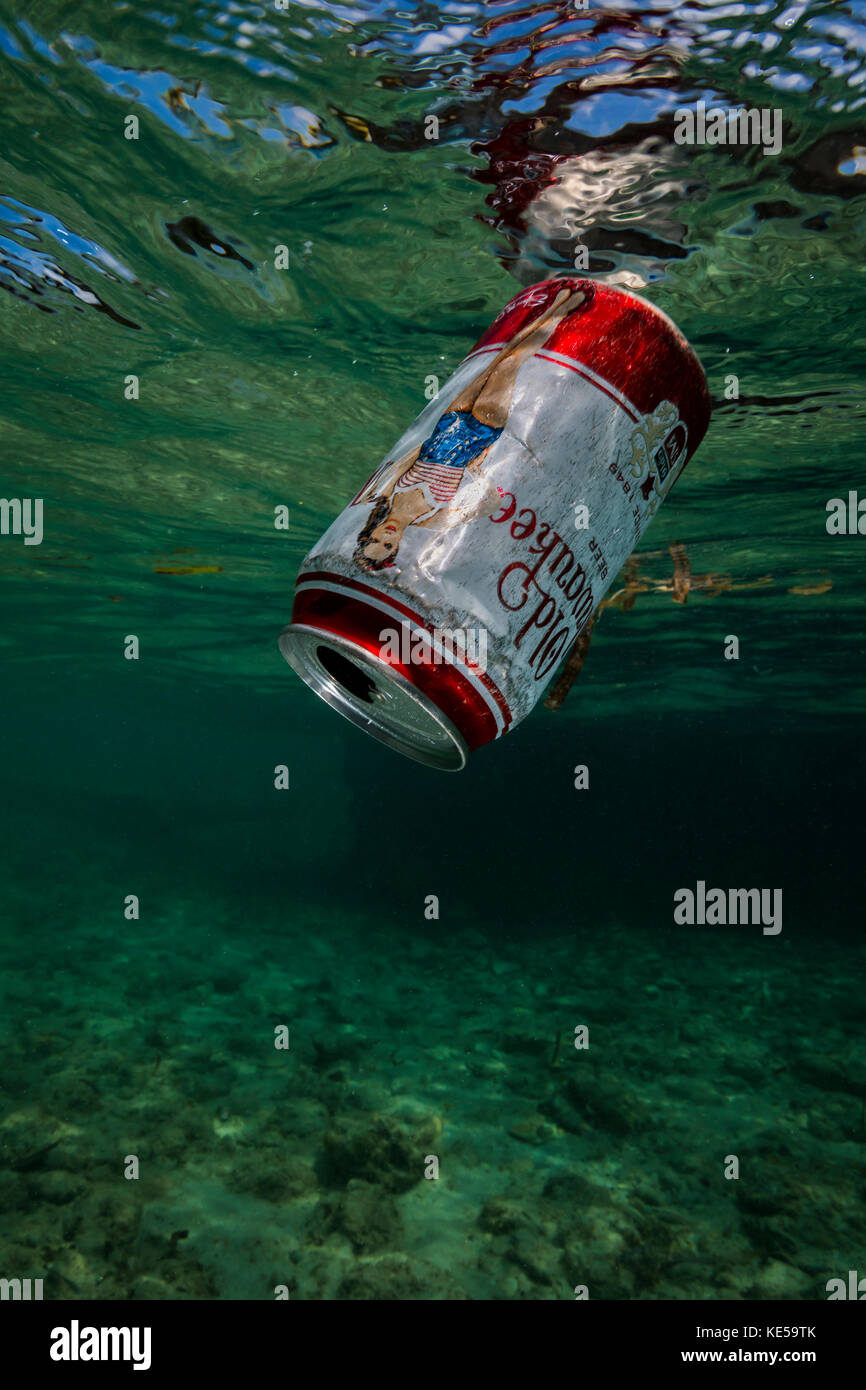 Beer can polluting the Caribbean waters of the U.S. Virgin Islands. Stock Photo