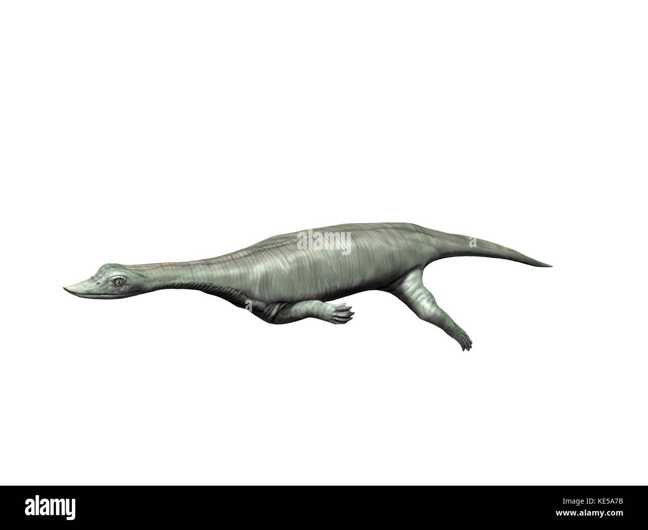 Wumengosaurus aquatic reptile from the Middle Triassic period. Stock Photo