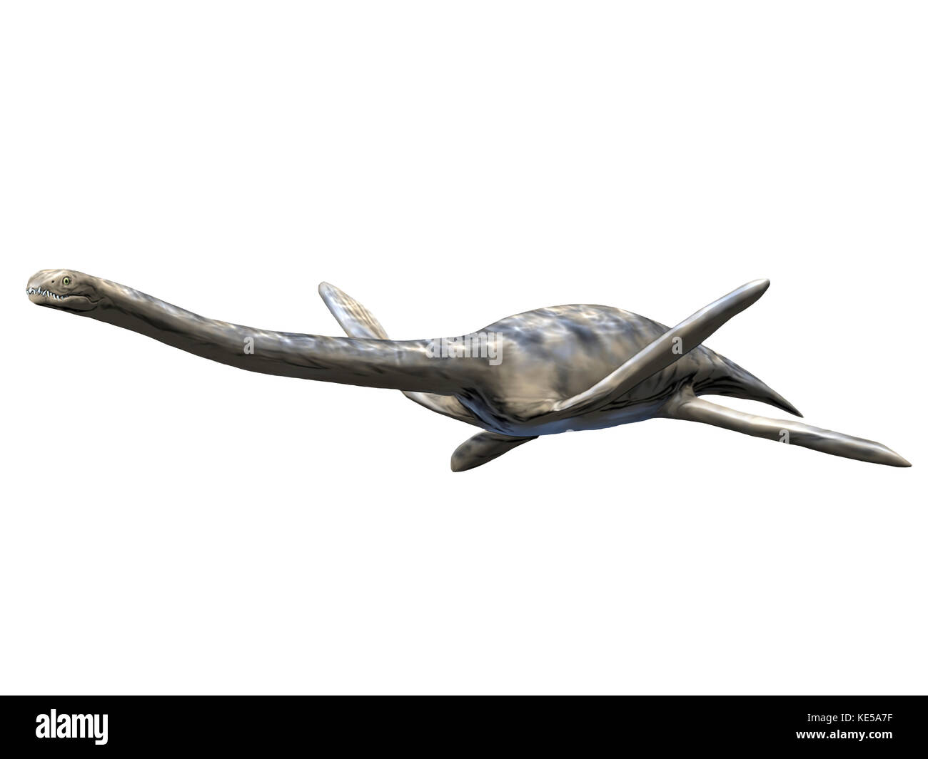 Zarafasaura oceanis aquatic reptile from the Late Cretaceous period. Stock Photo