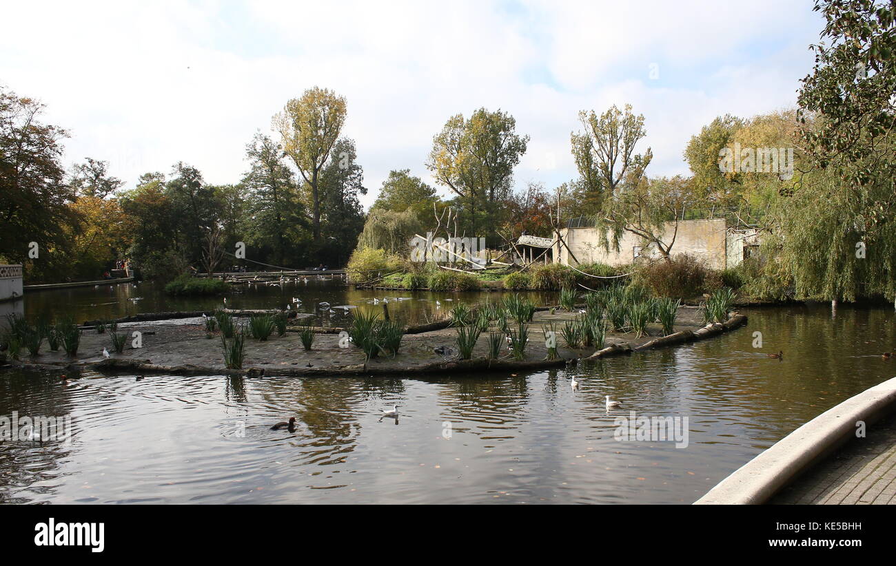 Central pond with waterfowl and lemur island at at Rotterdam Blijdorp  zoo, The Netherlands. Stock Photo