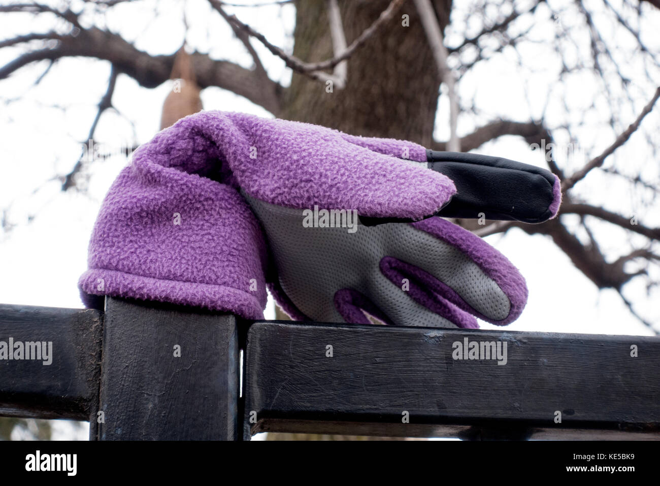 Lost violet colored glove artistically placed on fence post next to sidewalk where it was lost. St Paul Minnesota MN USA Stock Photo