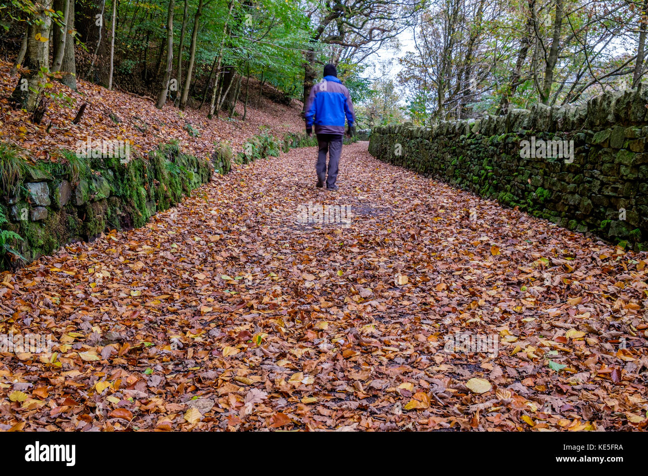 A man walking away from camera along a path with autumn leaves on the ground Stock Photo