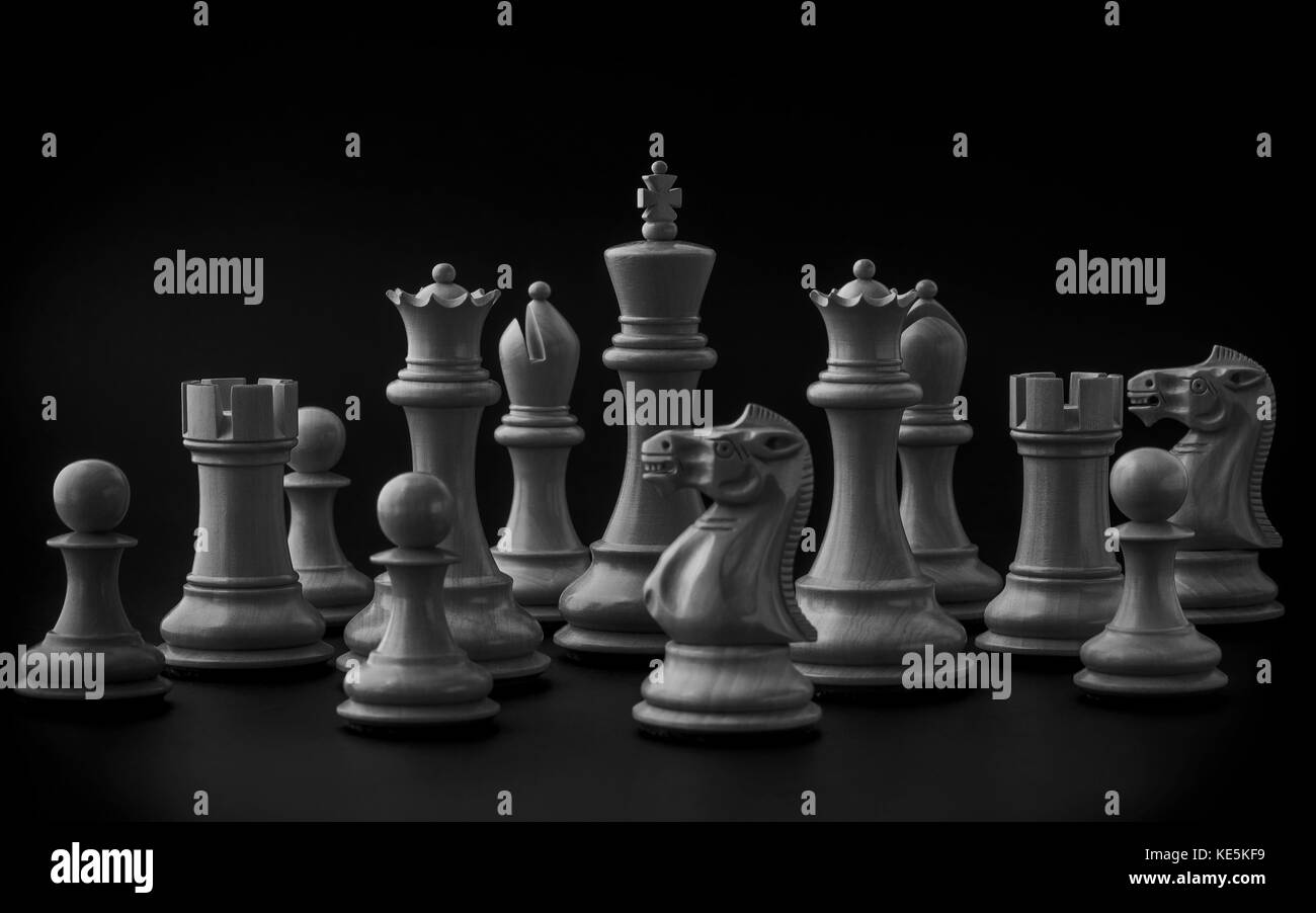 Black and White King and Knight of chess setup on dark background