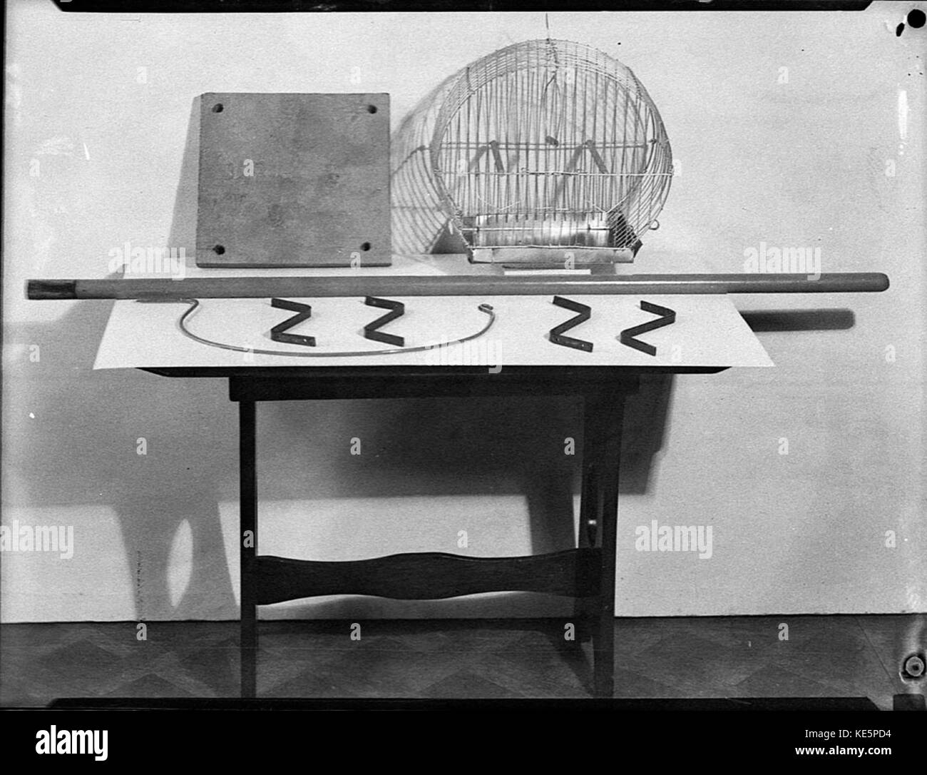 24951 Birds cage taken in studio Stock Photo