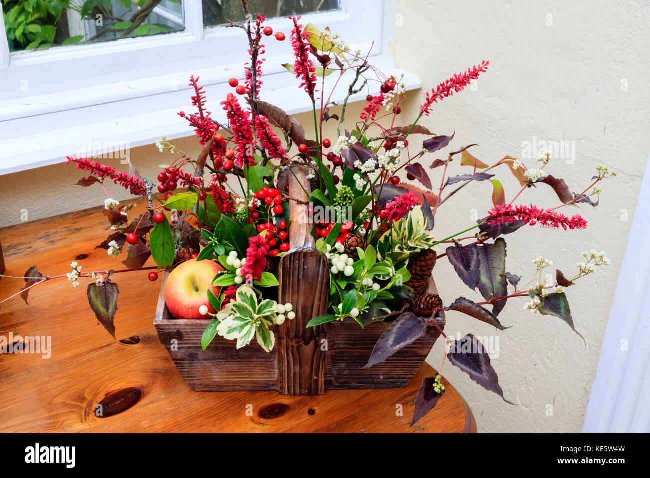 Autumn table decoration of red and white berried Skimmia, Persicaria flowers and foliage, and variegated Euonymus in a wooden basket Stock Photo