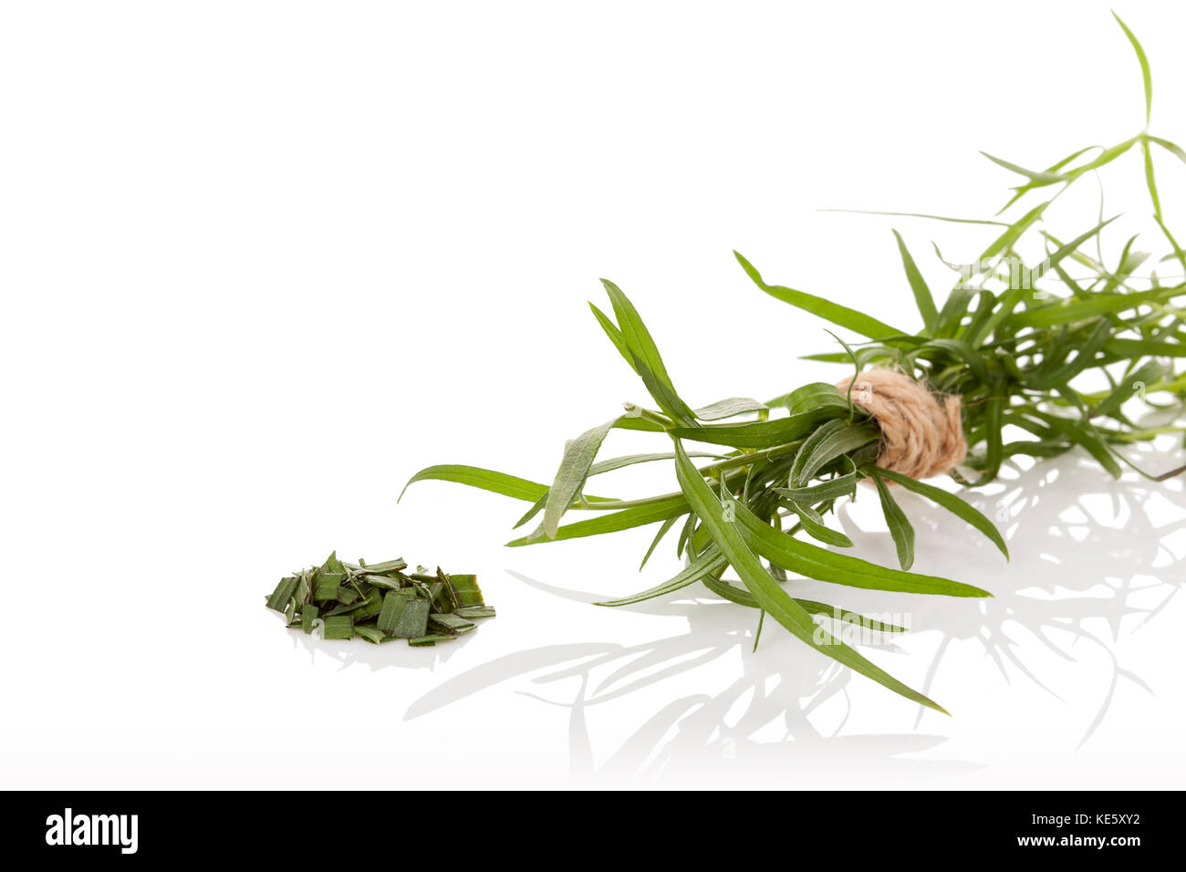 Tarragon, also known as estragon isolated on white background