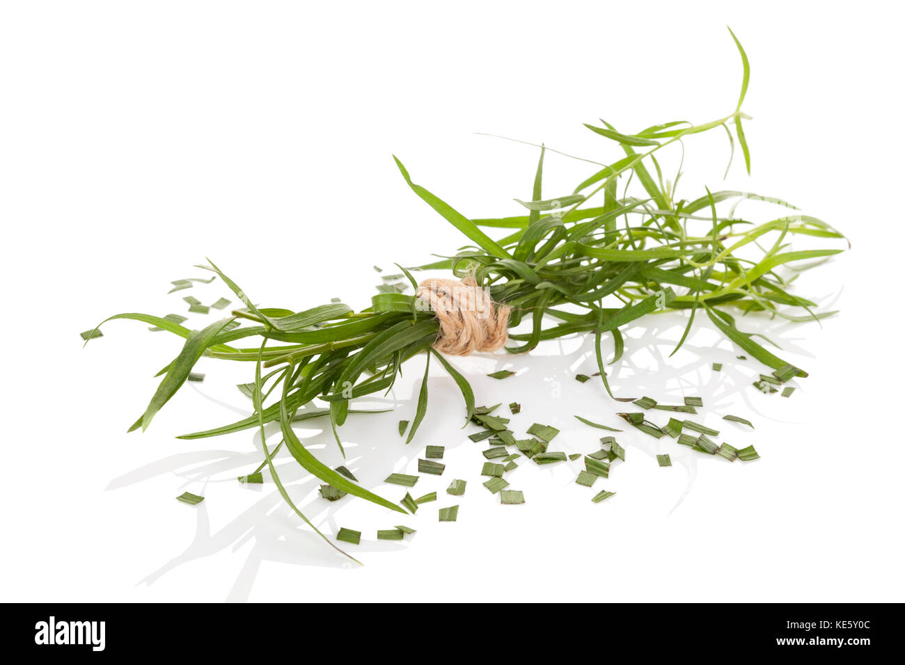 Tarragon, also known as estragon. Artemisia dracunculus. Culinary and