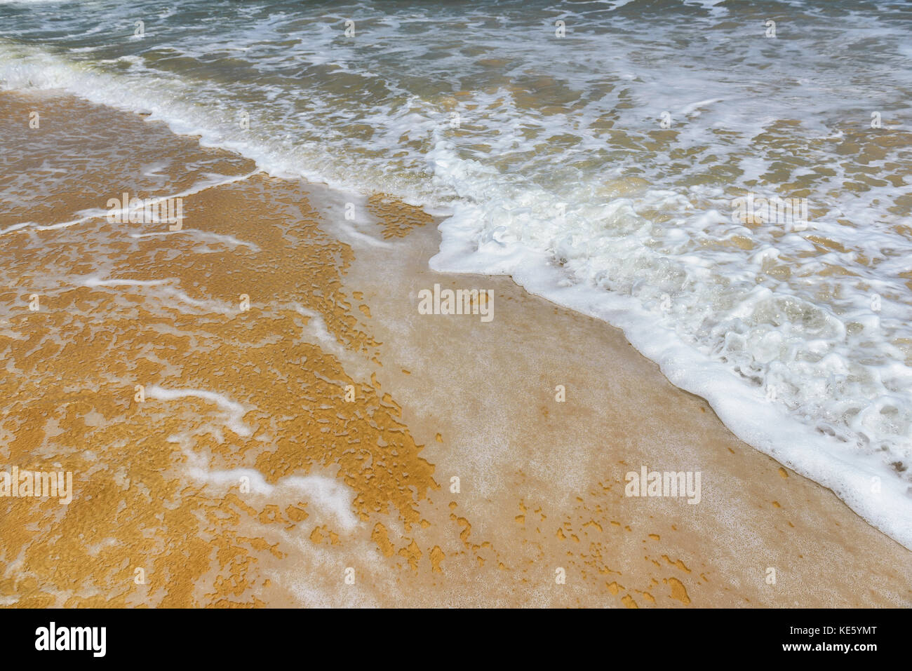 Tropical tropic tropics hi-res stock photography and images - Alamy