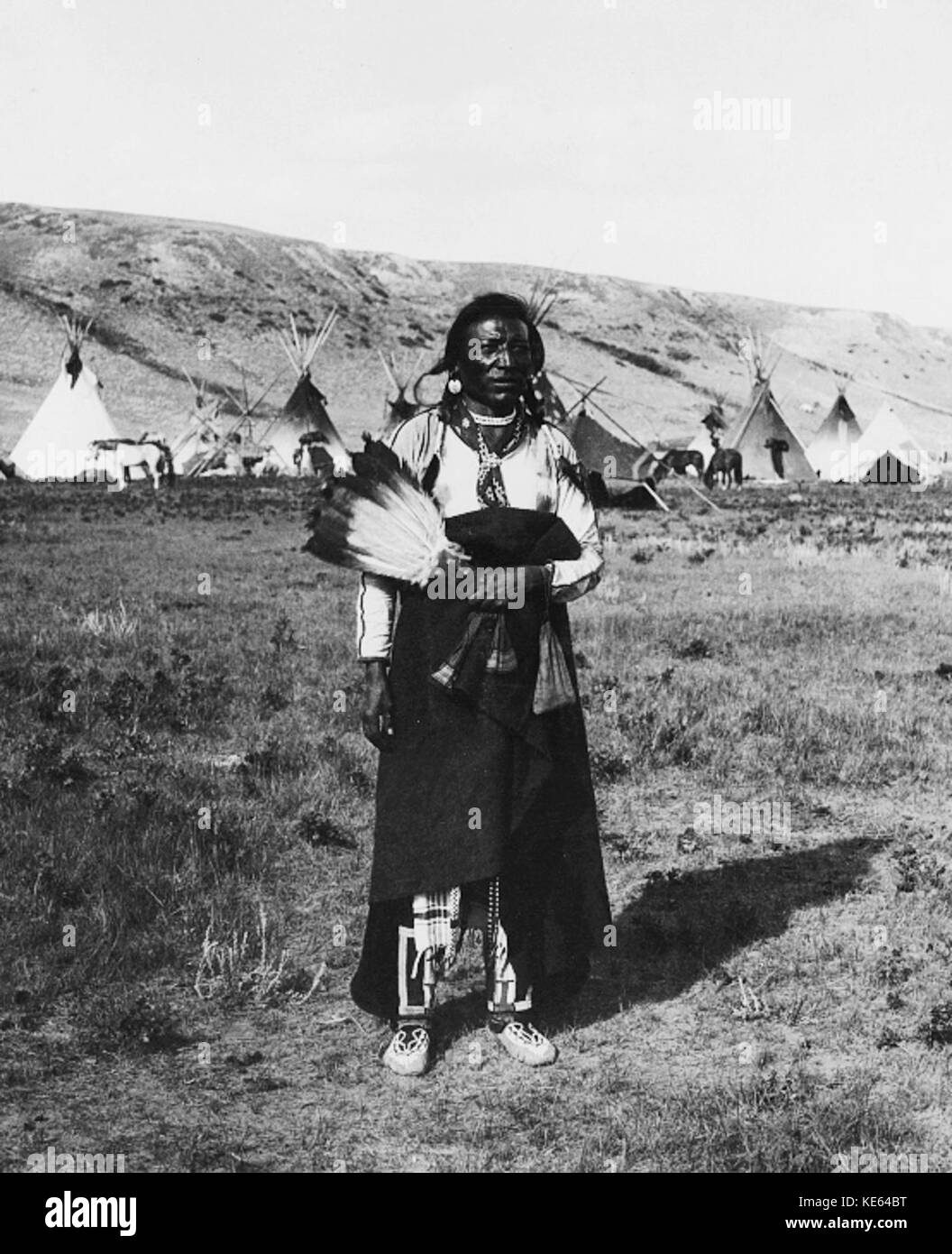 Winnipeg Jack 1890 Stock Photo Alamy