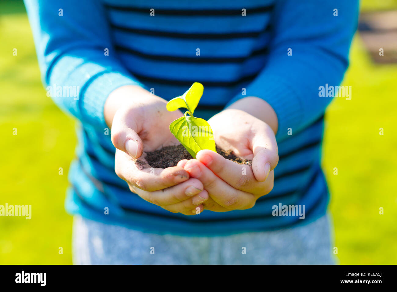 Small green plant hi-res stock photography and images - Alamy