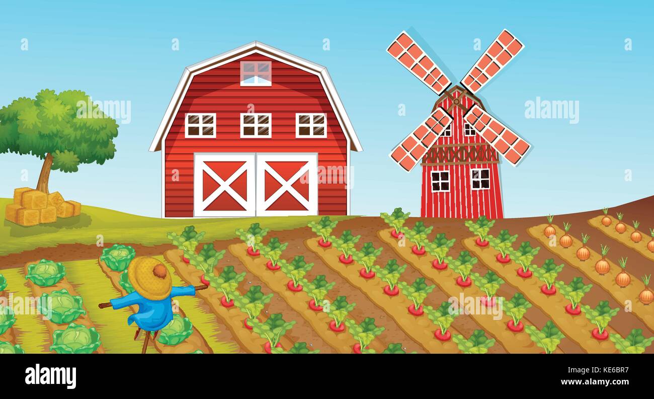 Farmland with crops on the farm illustration Stock Vector Image & Art -  Alamy