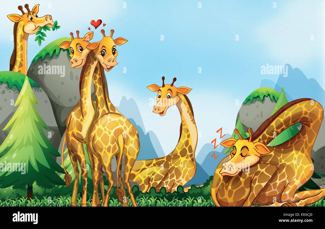 Many giraffes in the field illustration Stock Vector Image & Art - Alamy