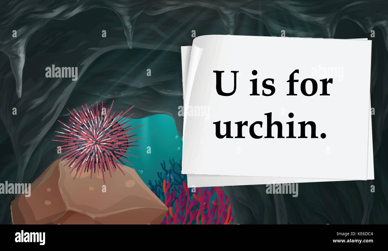 Letter U is for urchin illustration Stock Vector Image & Art - Alamy
