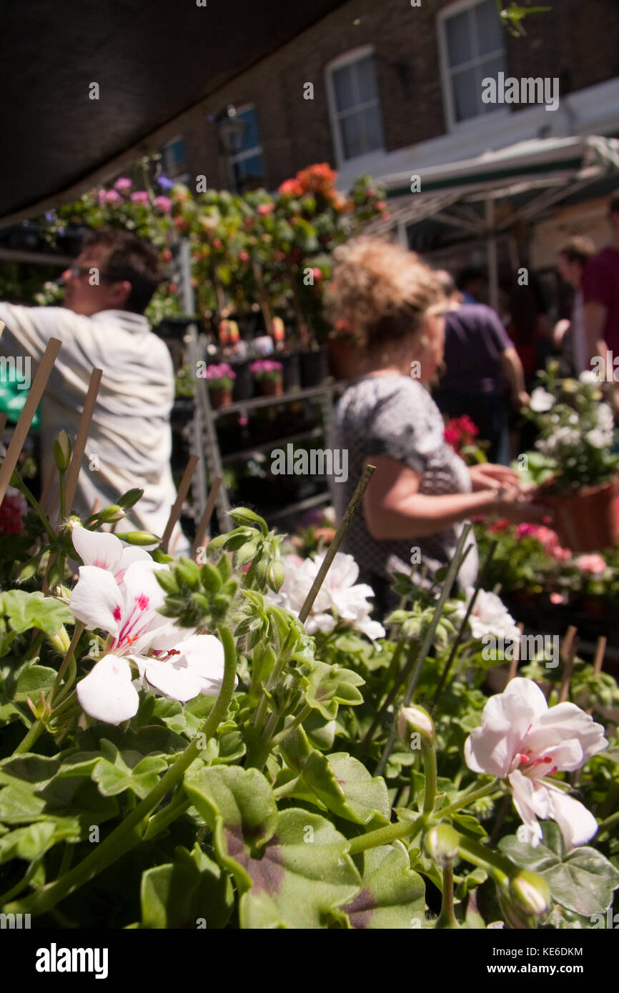 Columbia Rd Flower Market, London E2 Stock Photo