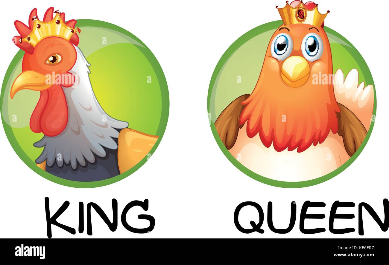 Chicken being king and queen illustration Stock Vector Image & Art Alamy