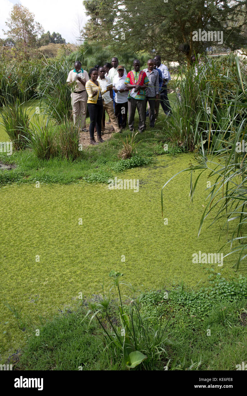 African teachers learning about artificial constructed wetland on