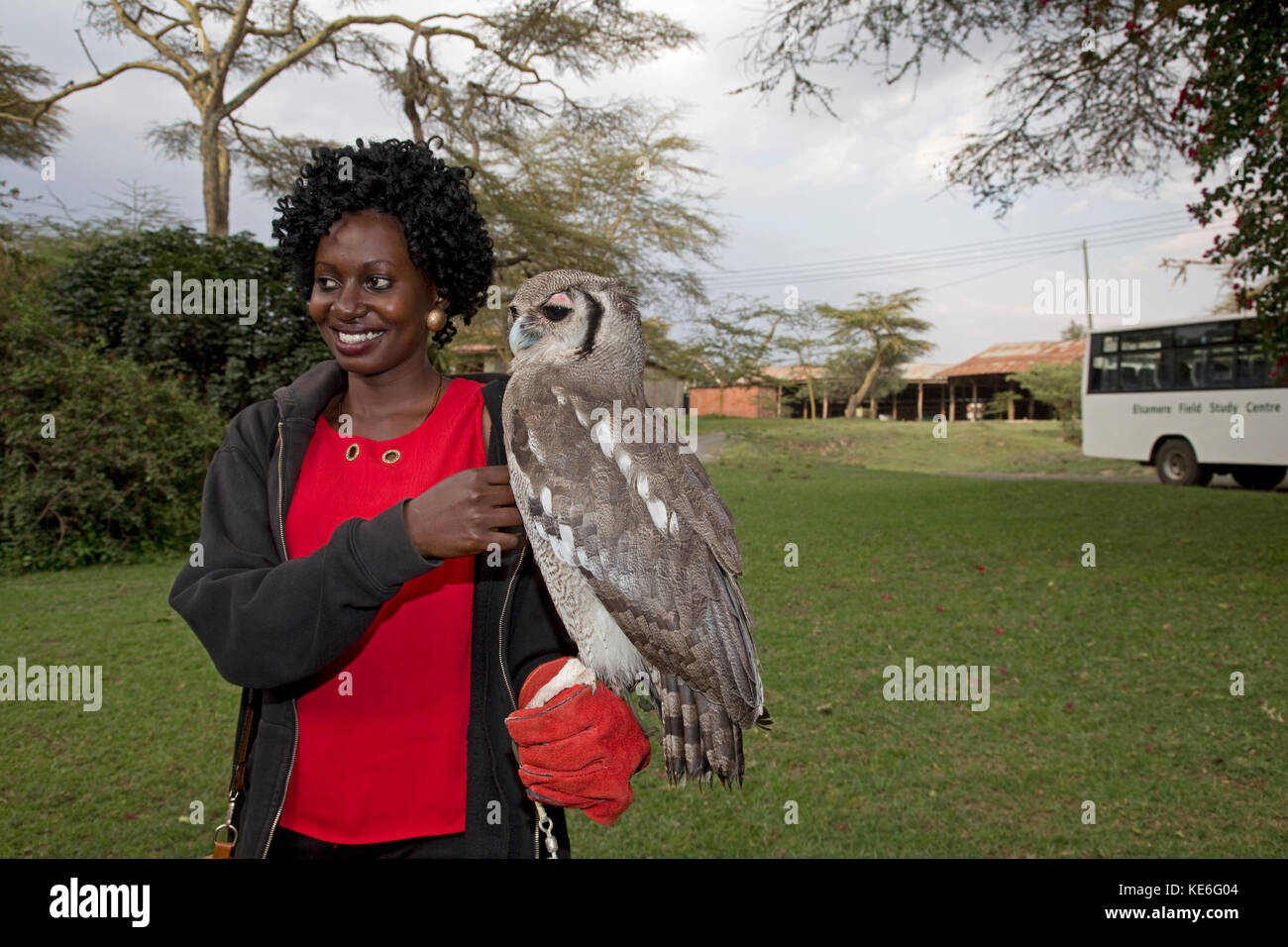 African woman with Verreaux's Eagle owl Bubo lacteus sitting on arm Owl Trust Naivsaha Kenya Stock Photo