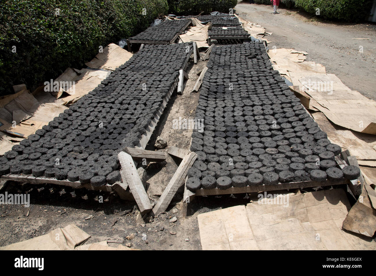 Briquettes made from charcoal dust drying Restart Africa Gilgil Kenya
