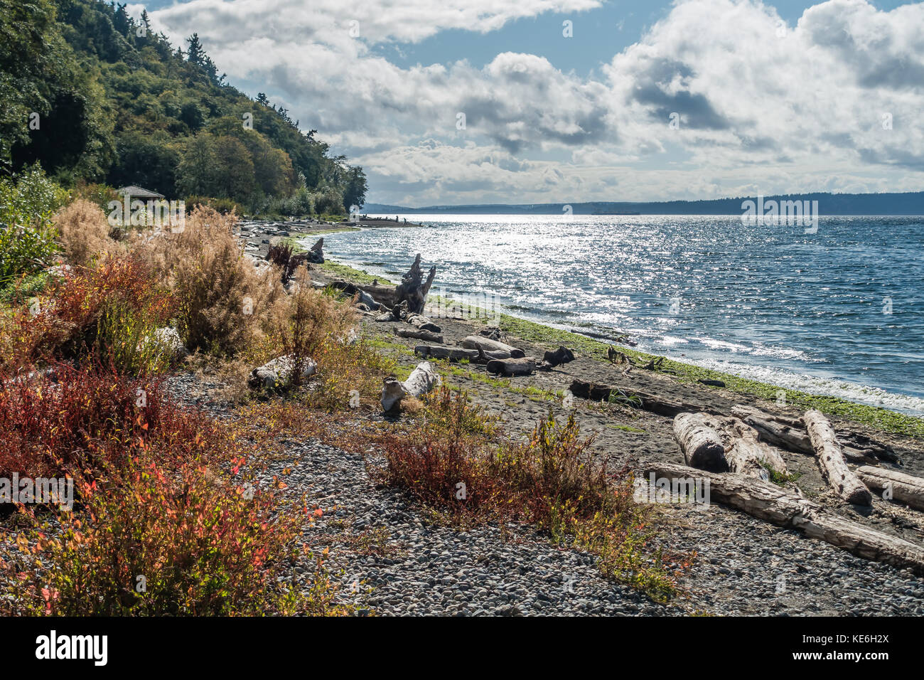 A view of the shoreline at Seahurst Beach in Burien, Washington Stock Photo Alamy