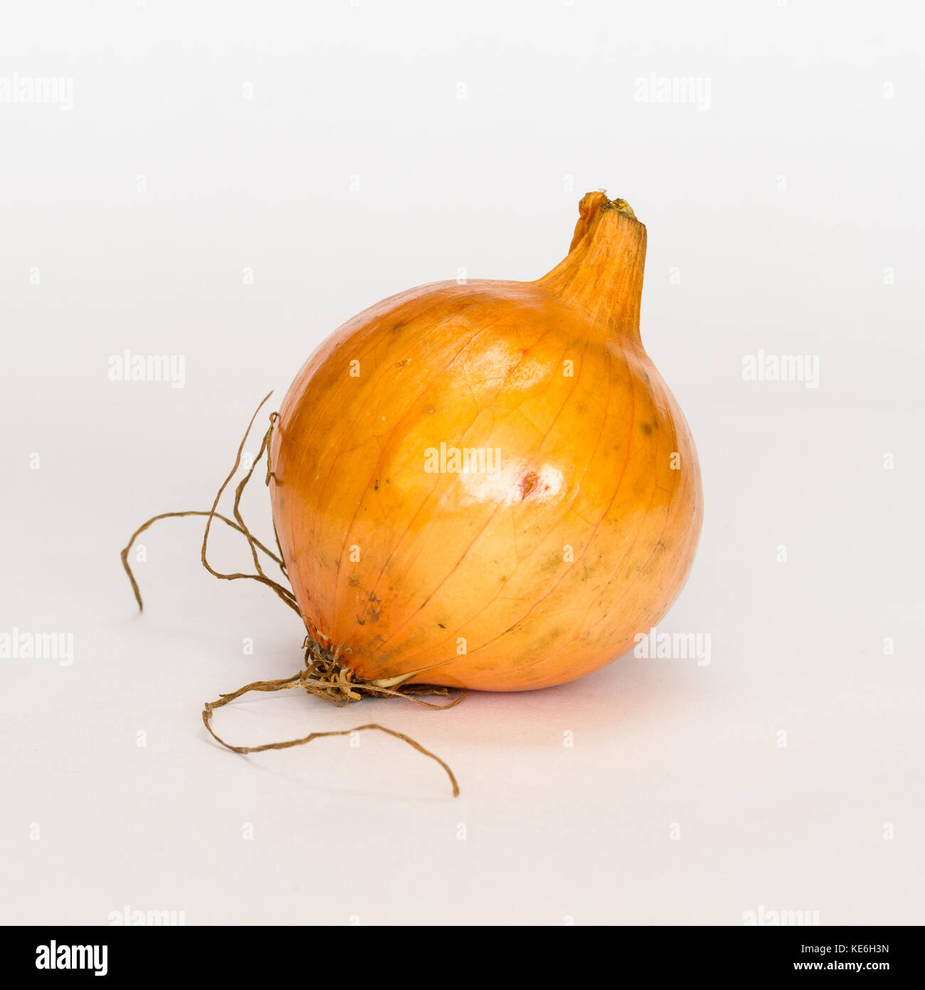 White onion close up Stock Photo