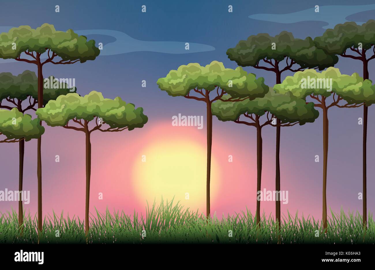 Nature scene at sunset illustration Stock Vector Image & Art - Alamy