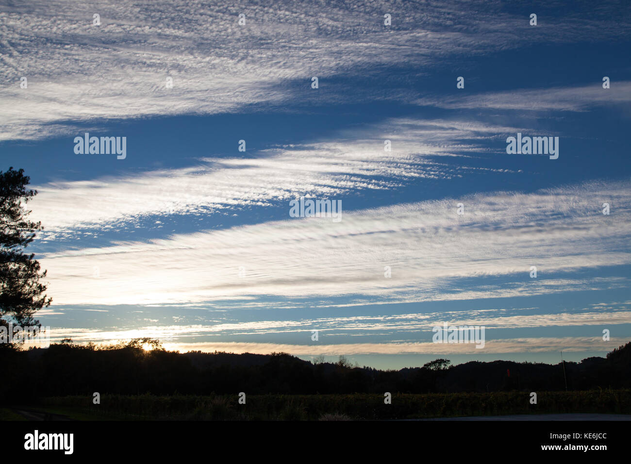 A blue sky in late afternoon with the setting sun highlighting striped ...