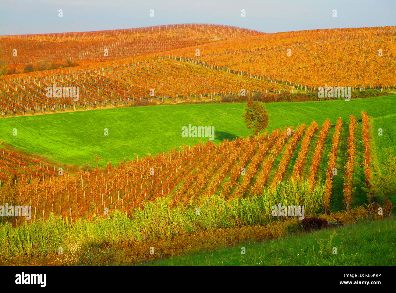 Cultivated lands hi-res stock photography and images - Alamy