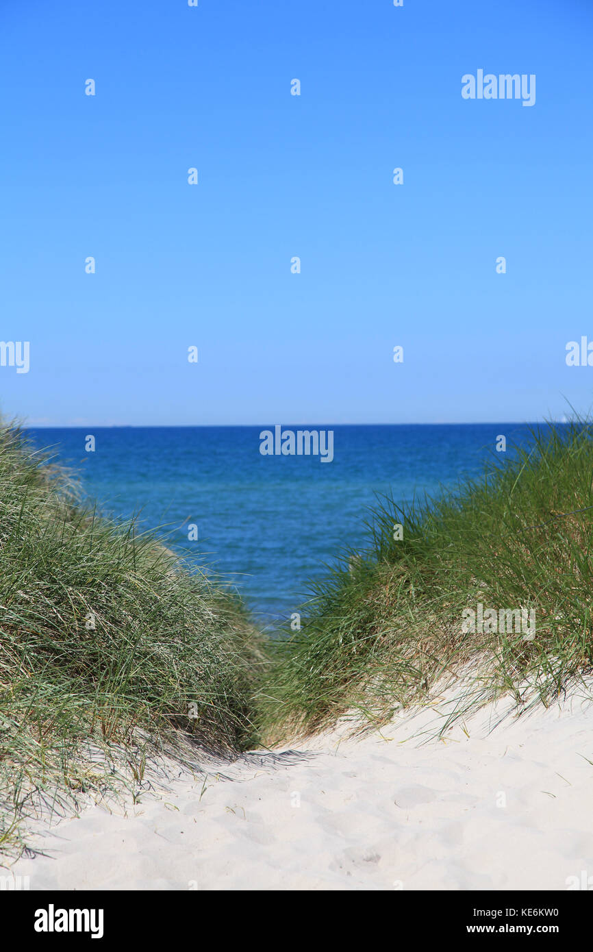 Path through sand dunes to the beach and sea Stock Photo - Alamy