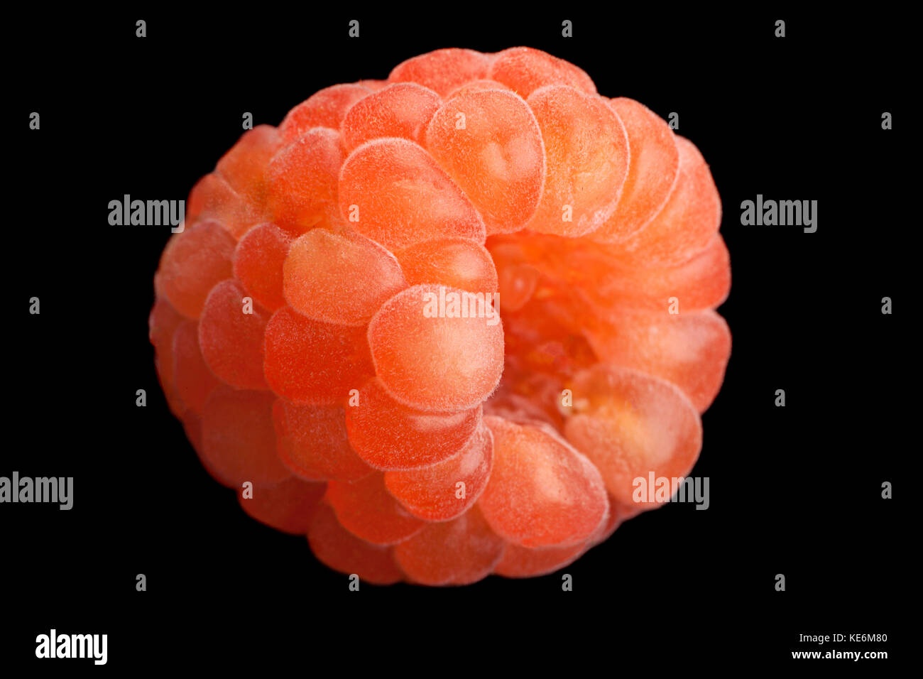 Rose raspberry fruit closeup isolated on black background Stock Photo Alamy