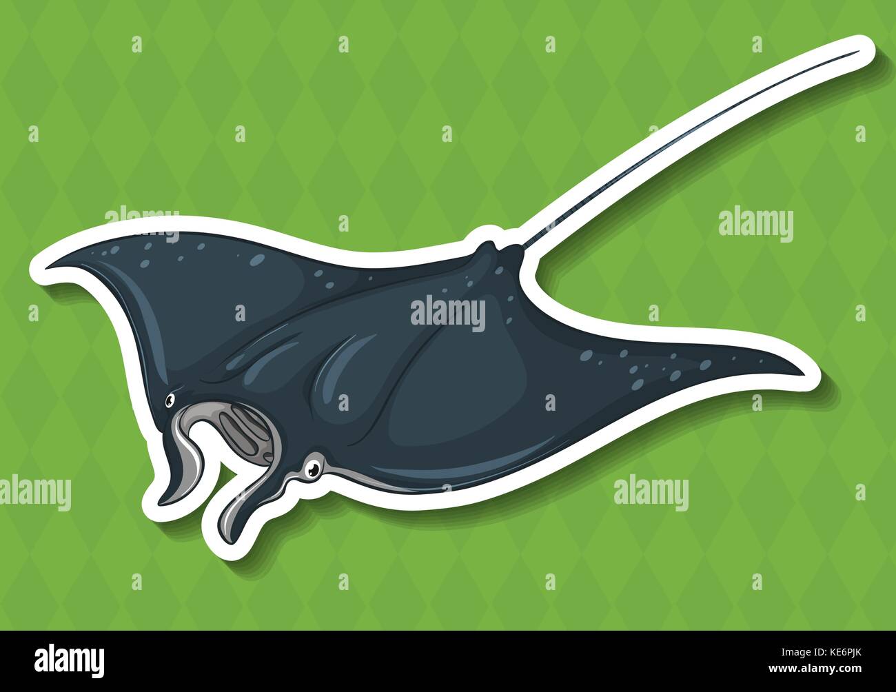 Close up stingray Stock Vector Images Alamy