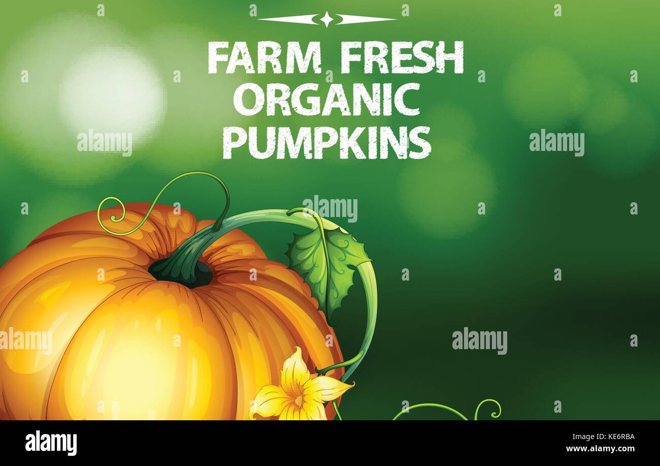 Farm fresh organic pumpkin with green background Stock Vector Image ...