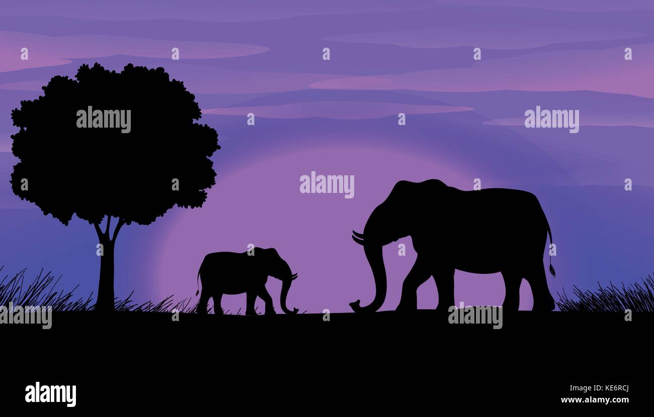 Sihouette elephants in the field Stock Vector