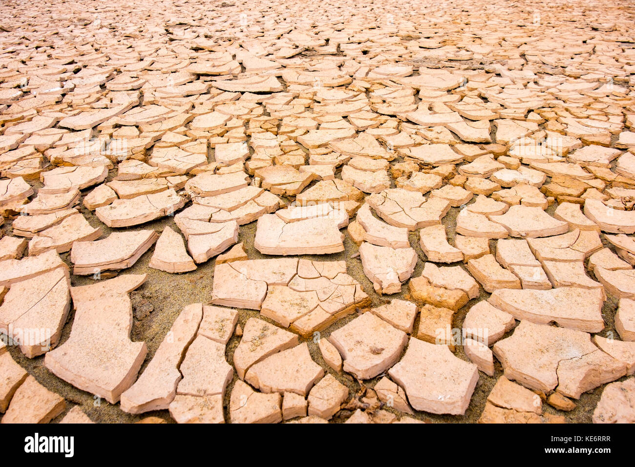 Dry soil in cracks. Concept of climate change Stock Photo