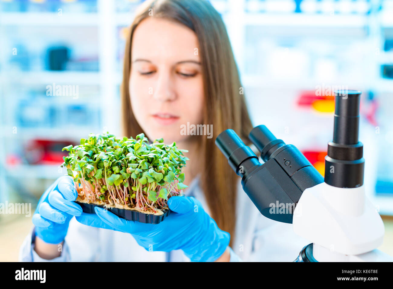 Research of photosynthesis of green plants. Food quality control of