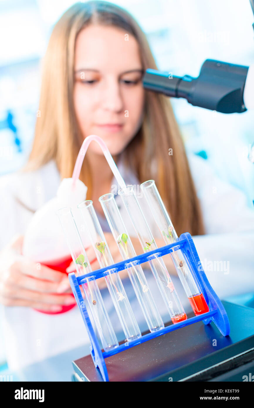Research of photosynthesis of green plants. Food quality control of agricultural plans Stock
