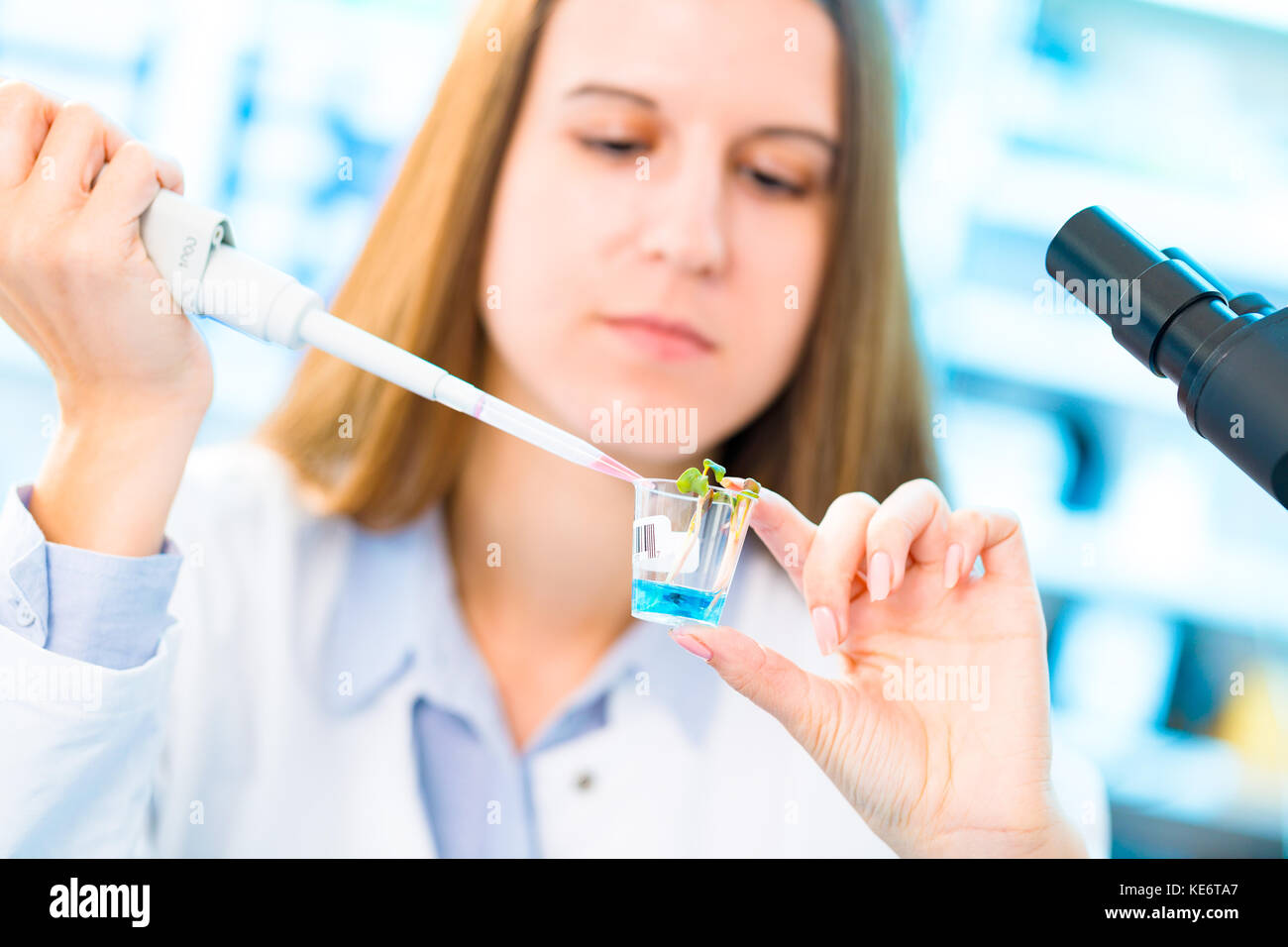 Research of photosynthesis of green plants. Food quality control of