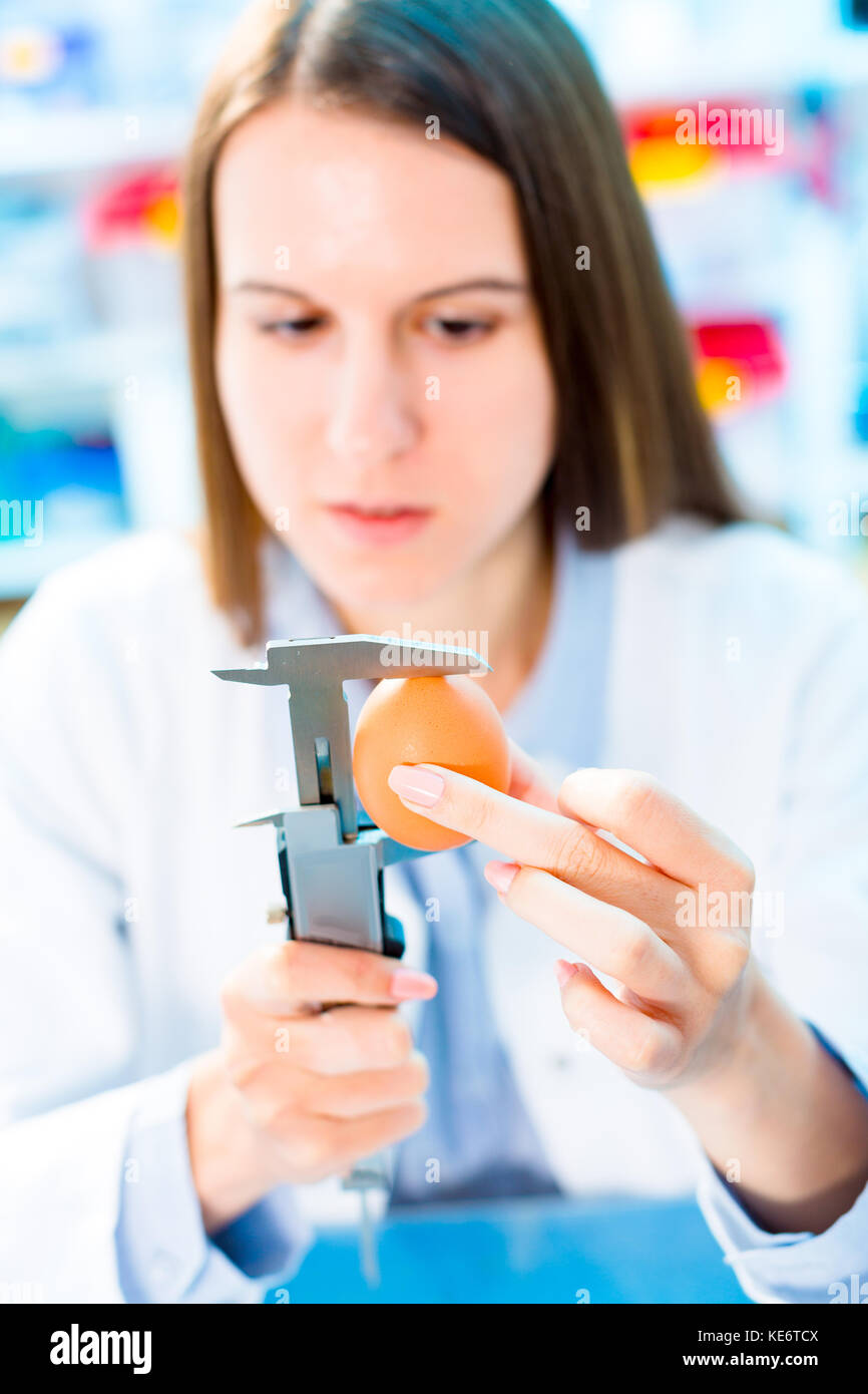 Eggs product research. Quality control processing foods Stock Photo Alamy
