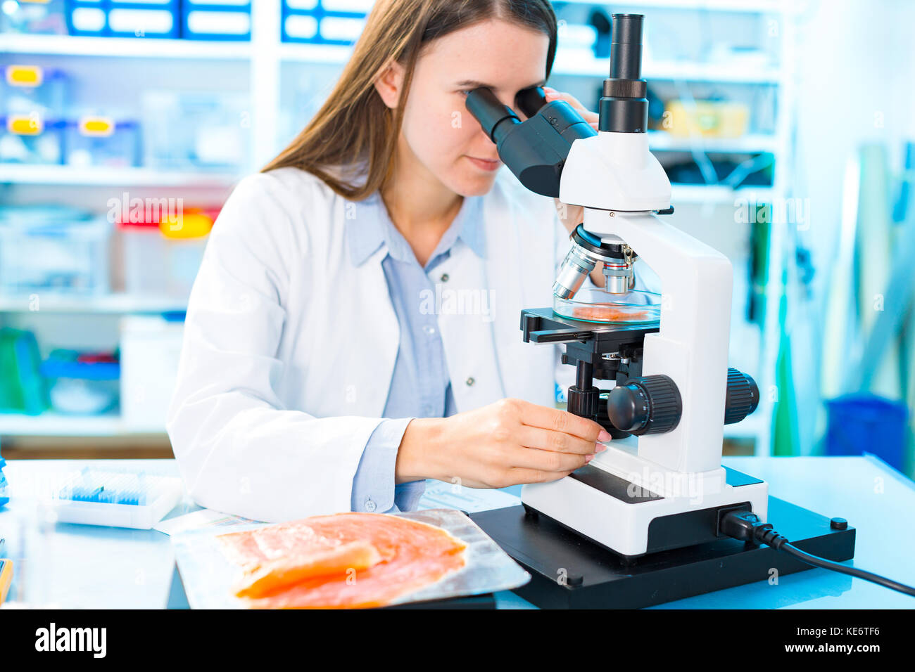 Fish research in laboratory. Food Processing and Quality Control Fish