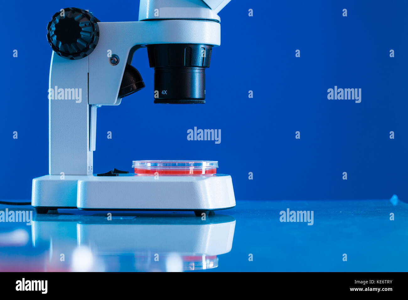 Blood Testing Laboratory Stock Photo - Alamy